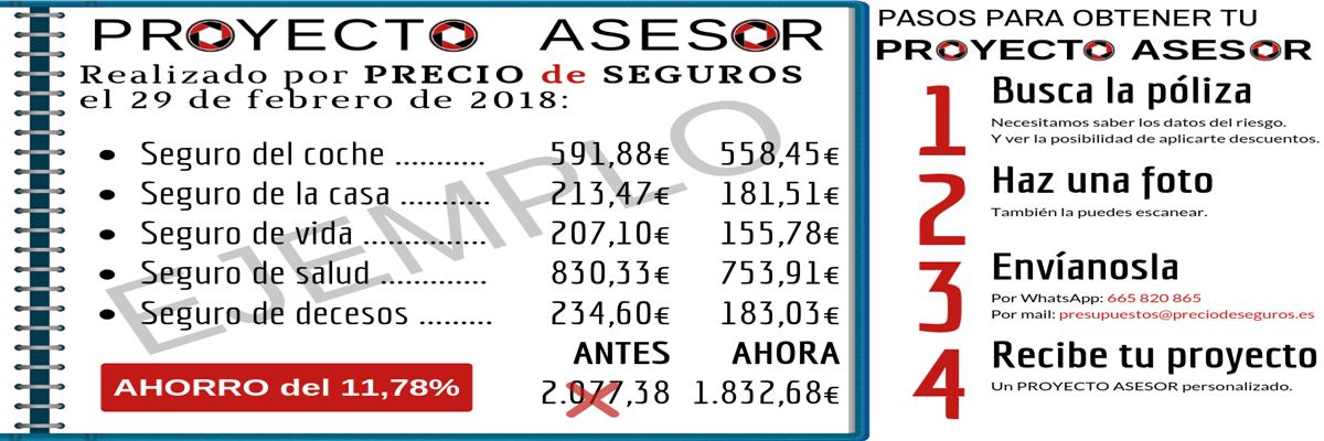 PRECIO de SEGUROS Proyecto Asesor PRECIO de SEGUROS Proyecto Asesor