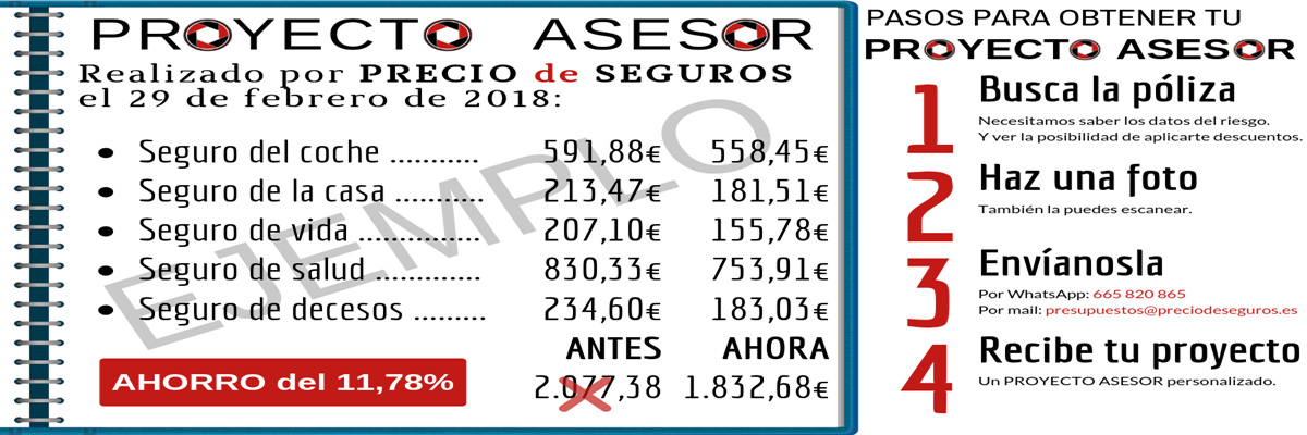 PRECIO de SEGUROS Proyecto Asesor