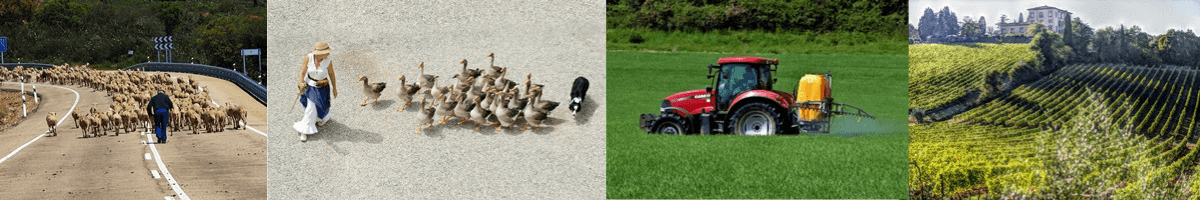 AGROSEGUROS AGROSEGUROS